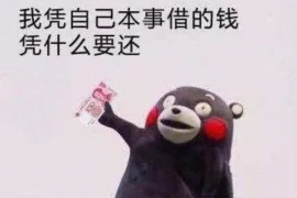 紫云紫云讨债公司服务